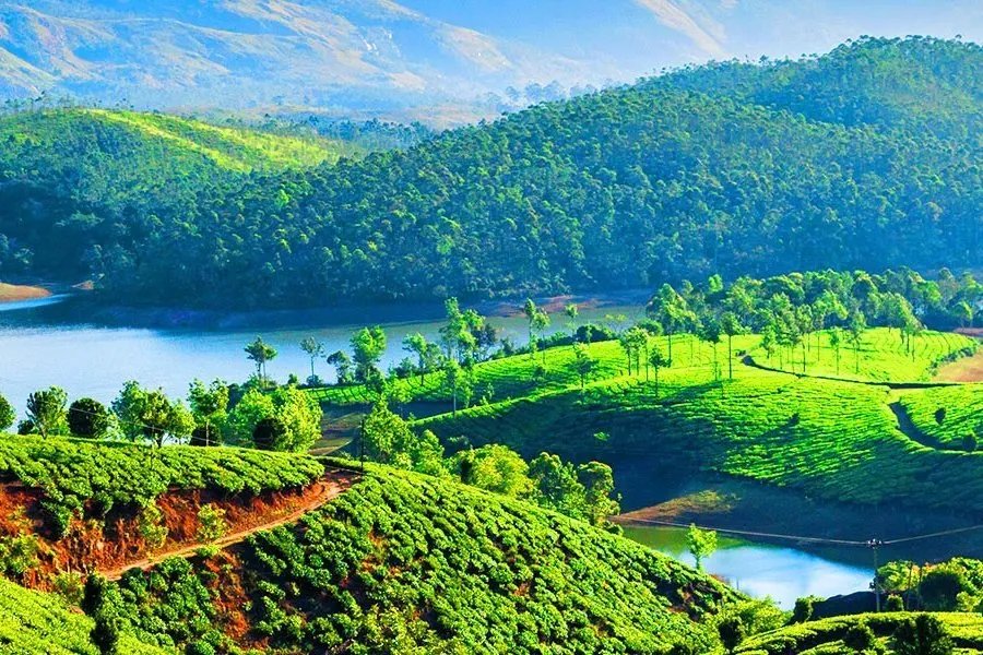 Lush Kerala landscape