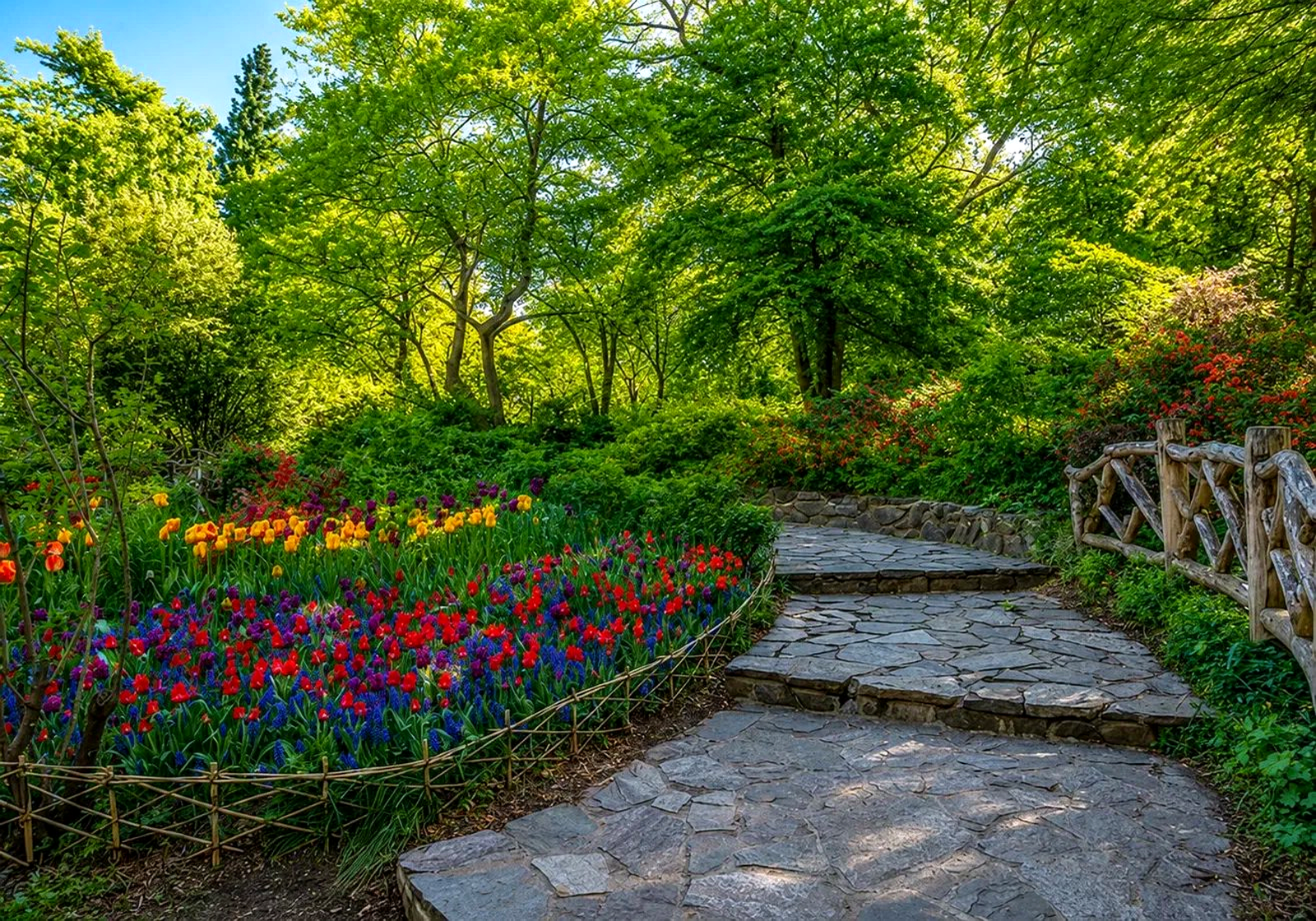 Shakespeare Garden with steps, Central Park